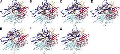 Identification of Tumor Necrosis Factor-Alpha (TNF-α) Inhibitor in Rheumatoid Arthritis Using Network Pharmacology and Molecular Docking